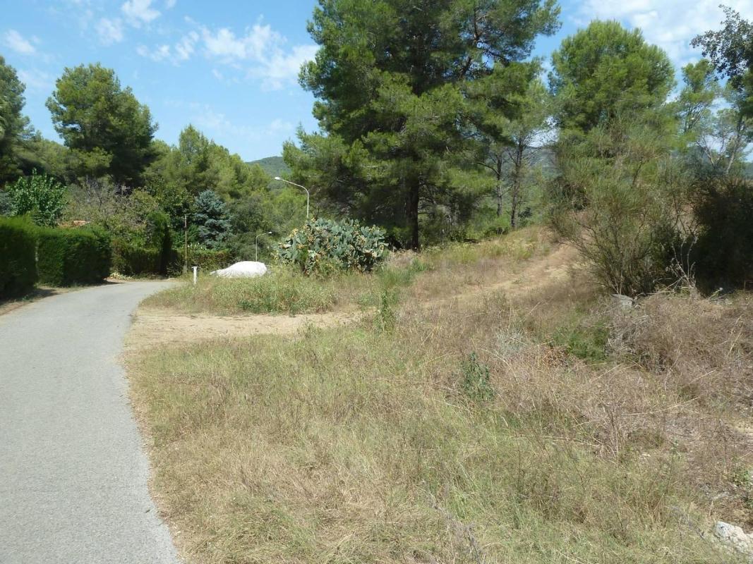 Terreno en venta en Riudecanyes, Tarragona photo 2