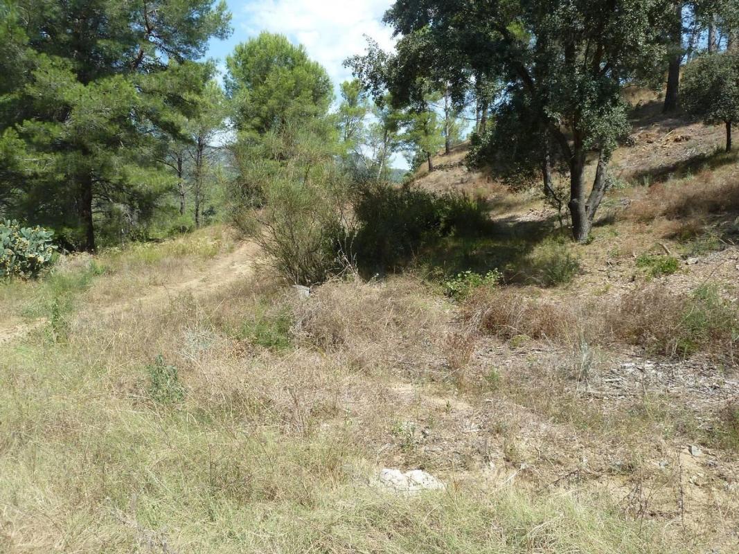 Terreno en venta en Riudecanyes, Tarragona photo 3