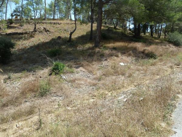 Terreno en Calle de la Vallesa, 190, Riudecanyes photo 4