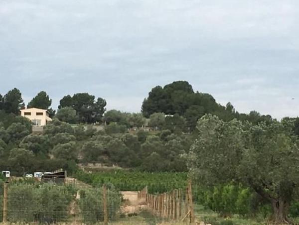 Terreno en Calle de Bonaire, Mora d'Ebre photo 1
