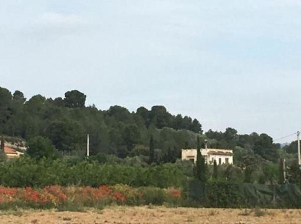 Terreno en Calle de Bonaire, Mora d'Ebre thumbnail 1