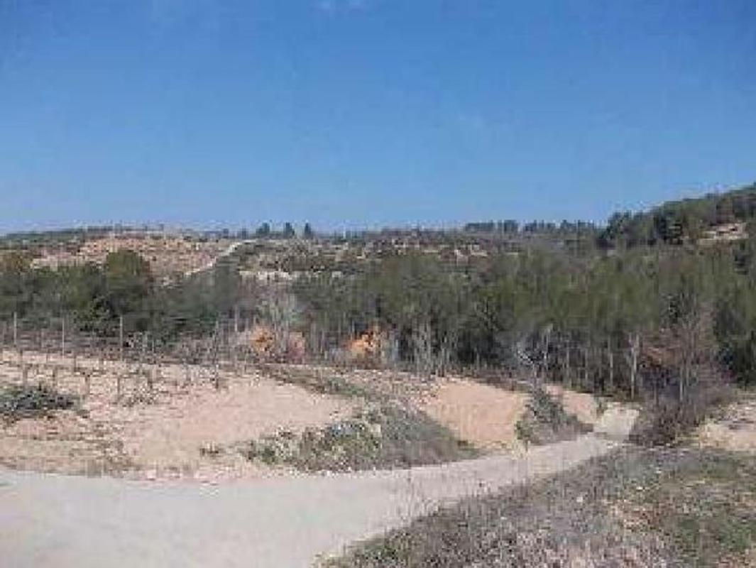 Land for sale in Guiamets (Els), Tarragona photo 2