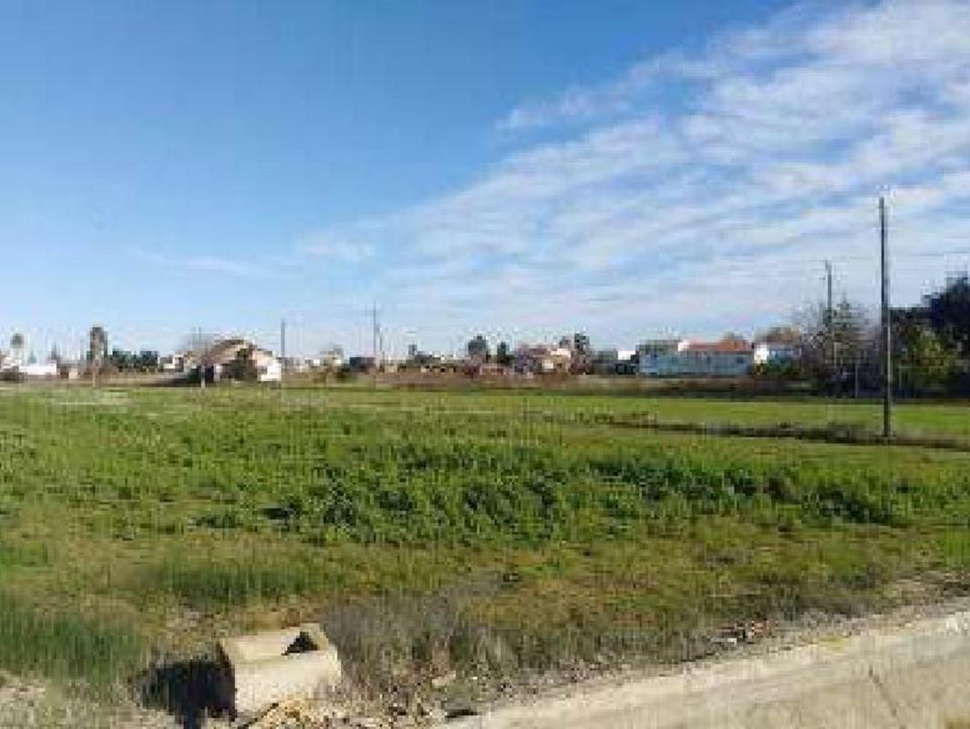 Land for sale in Deltebre, Tarragona photo 3