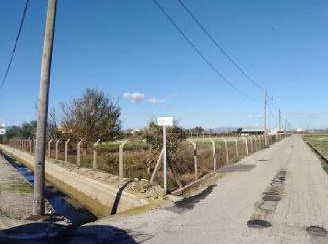 Land for sale in Deltebre, Tarragona photo 4