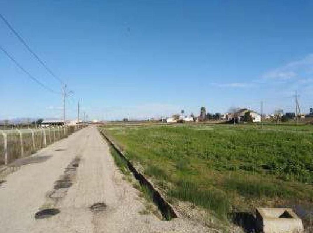 Land for sale in Deltebre, Tarragona photo 5