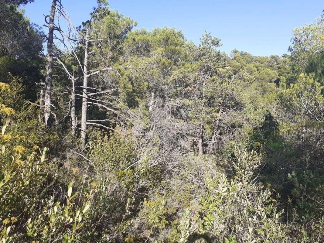 Land for sale in Mont-Ral, Tarragona photo 1