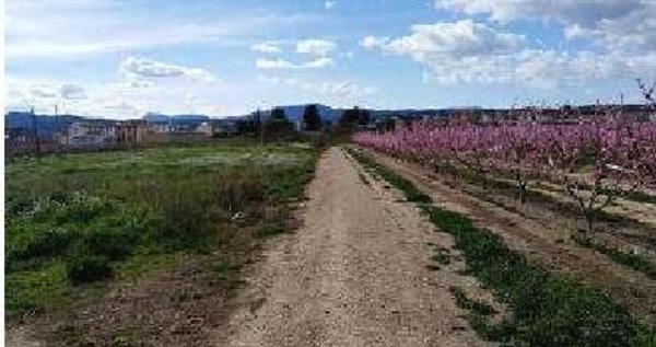 Terreno en Calle del Calvari, 43, Benissanet photo 1