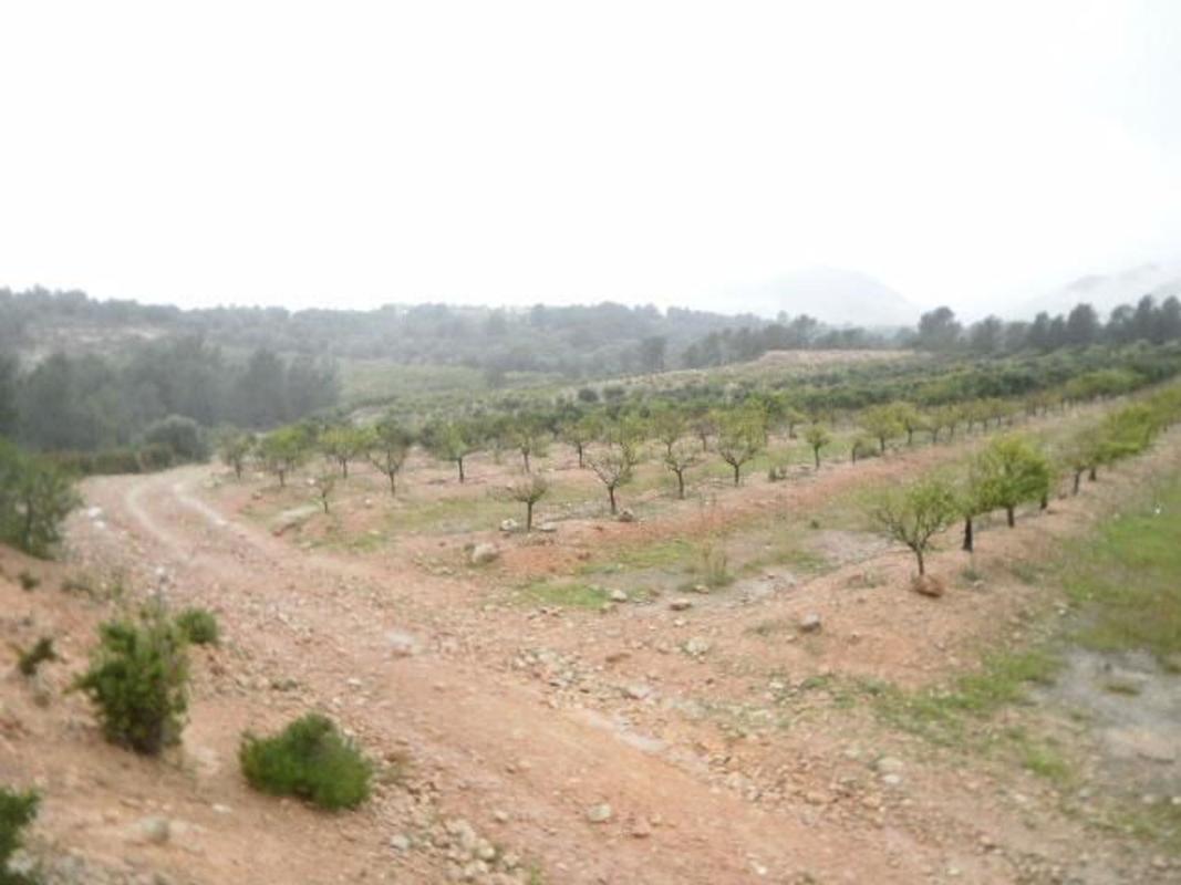 Land for sale in Aldover, Tarragona photo 2