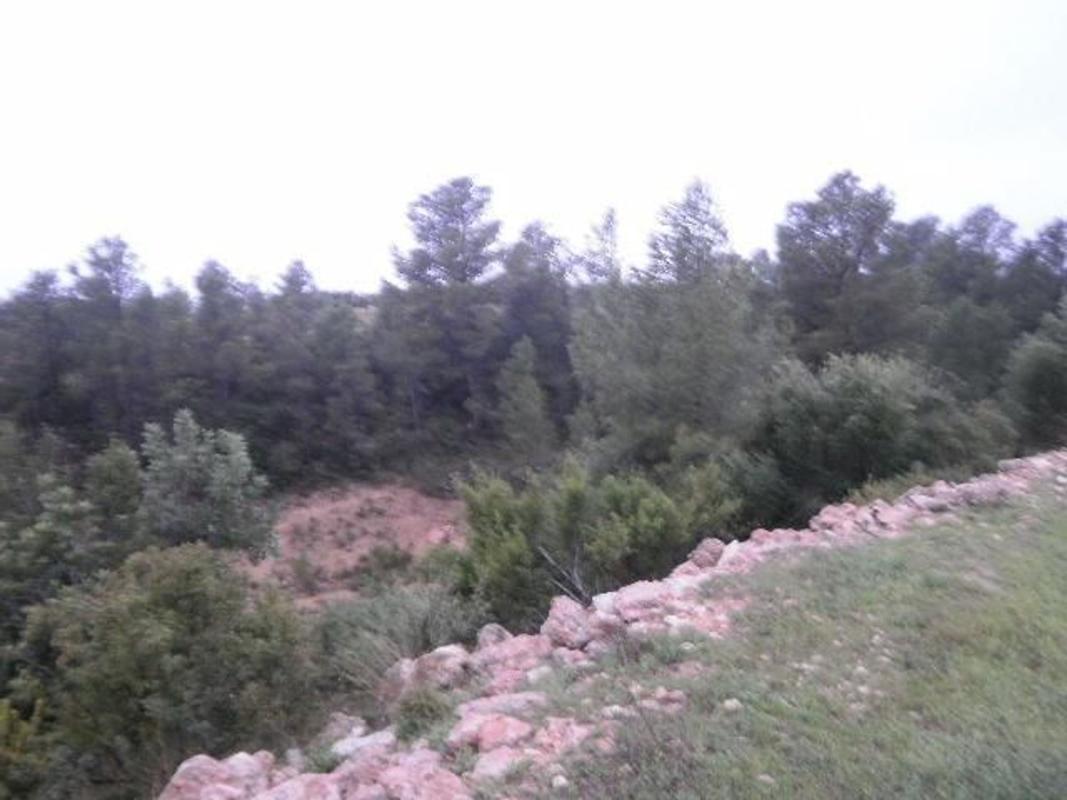 Land for sale in Aldover, Tarragona photo 4