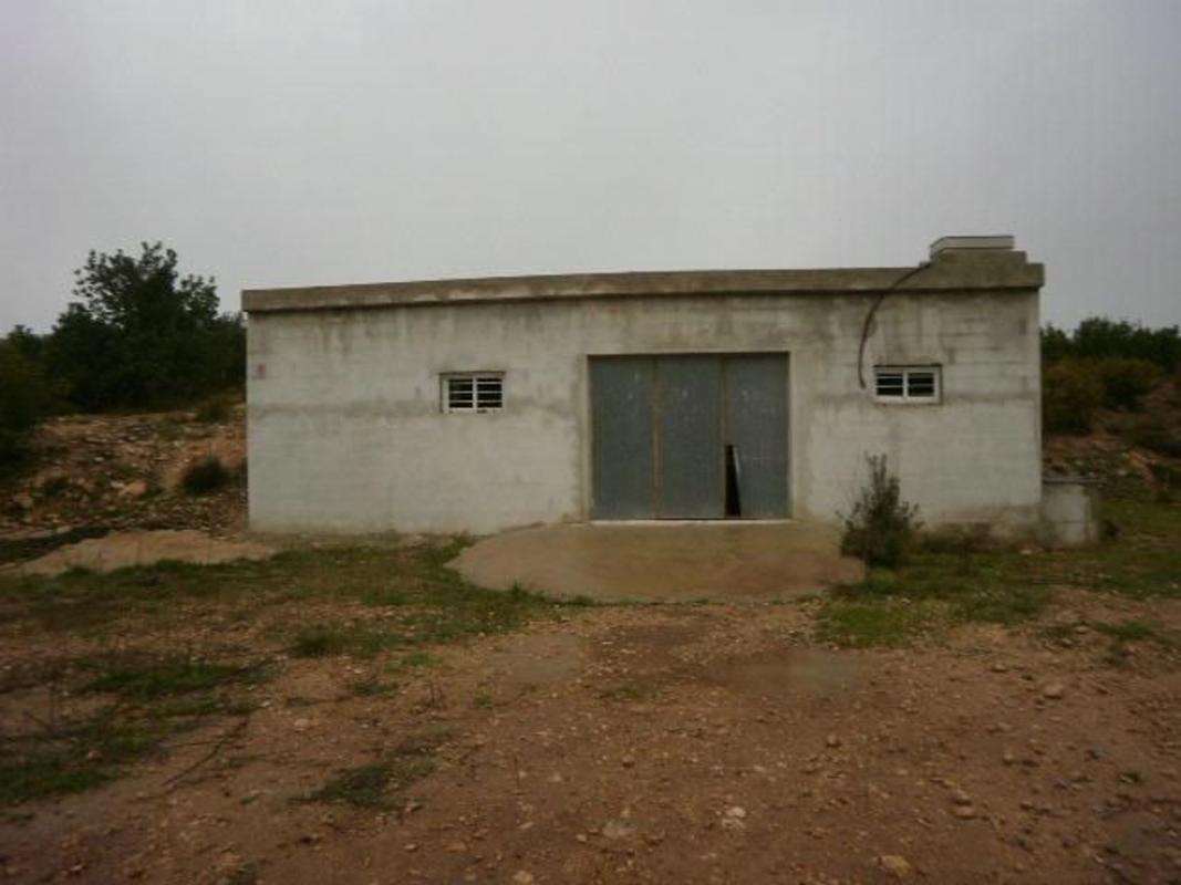 Land for sale in Aldover, Tarragona photo 5