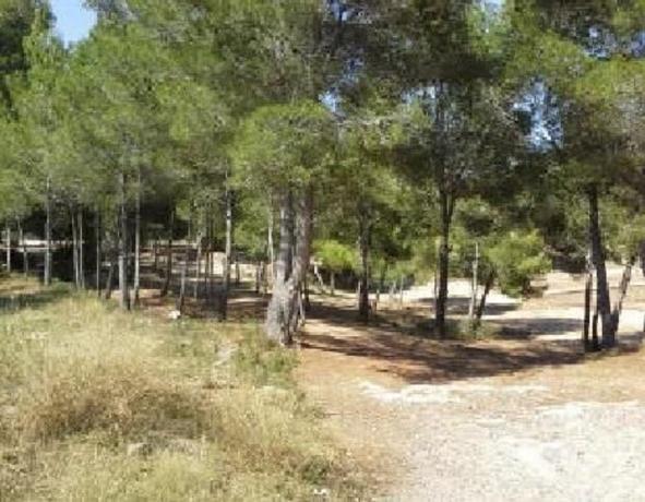 Terreno en Creixell photo