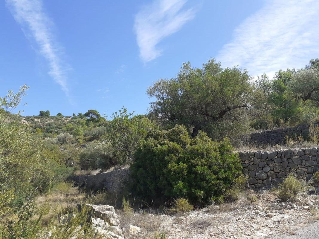Land for sale in Tortosa, Tarragona photo 1