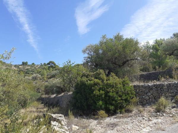 Terreno en T-301, 53, Bítem, Tortosa photo 1