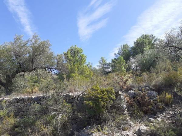 Terreno en T-301, 53, Bítem, Tortosa photo 3