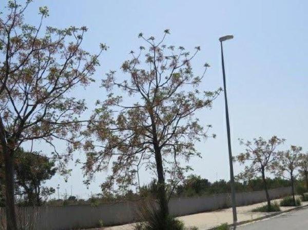 Terreno en Calle de la Porrassa, 34, L'Hospitalet de l'Infant thumbnail 2