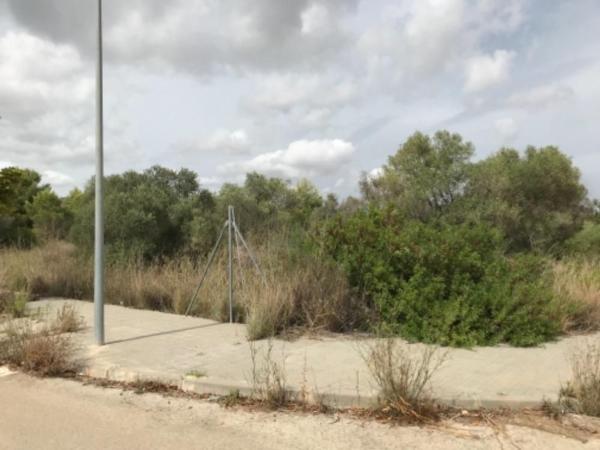 Terreno en Calle Francesc de Riera, 6, El Tancat - Mas d'en Gual, El Vendrell photo 2