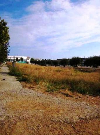 Terreno en Calle Josep Irla Bosch, 46, El Tancat - Mas d'en Gual, El Vendrell photo 4