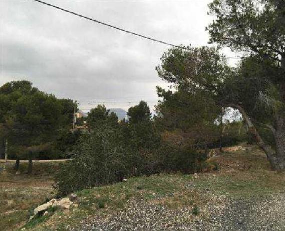 Terreno en Calle del Cerç, 7, Pino Alto, Mont-Roig del Camp thumbnail 1