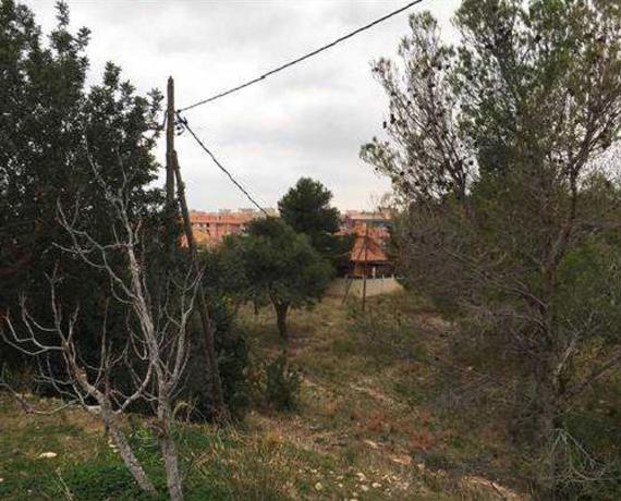 Terreno en Calle del Cerç, 7, Pino Alto, Mont-Roig del Camp photo 4