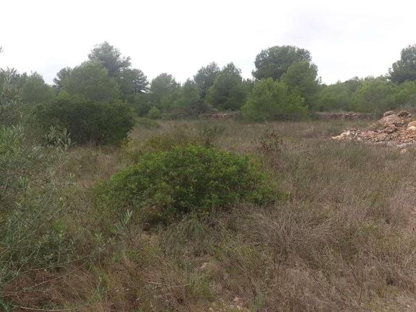 Terreno en Calle de l'Om, 23, Altafulla photo 1