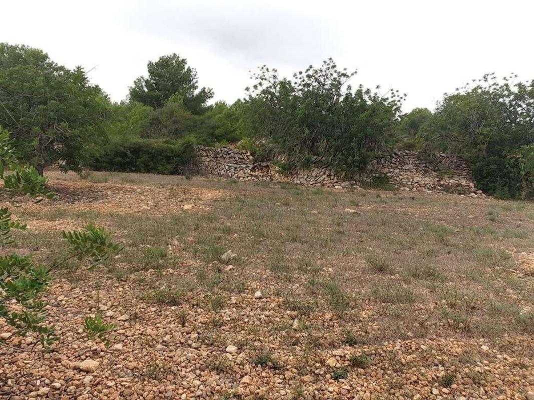 Land for sale in Altafulla, Tarragona photo 2