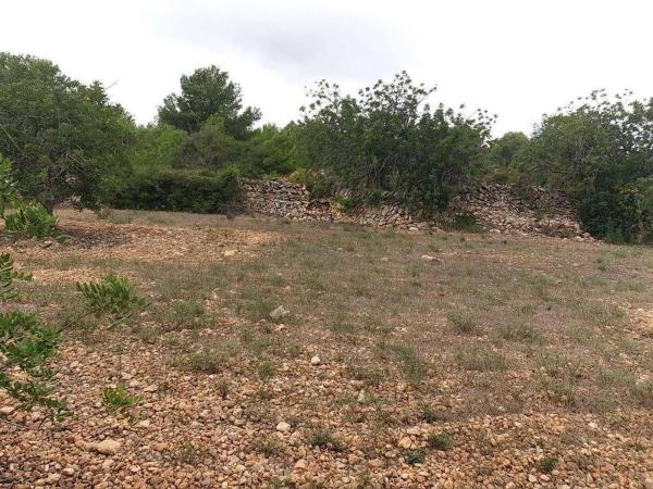 Terreno en Calle de l'Om, 23, Altafulla thumbnail 1