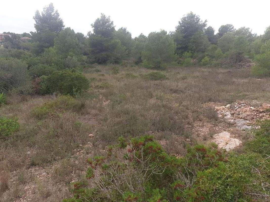 Land for sale in Altafulla, Tarragona photo 3