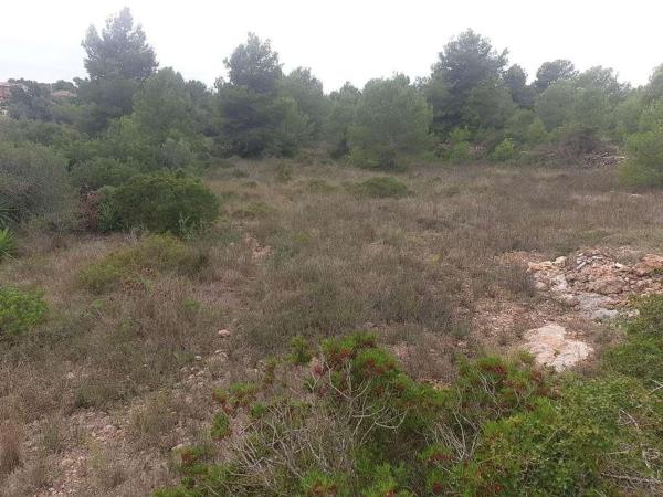 Terreno en Calle de l'Om, 23, Altafulla thumbnail 2