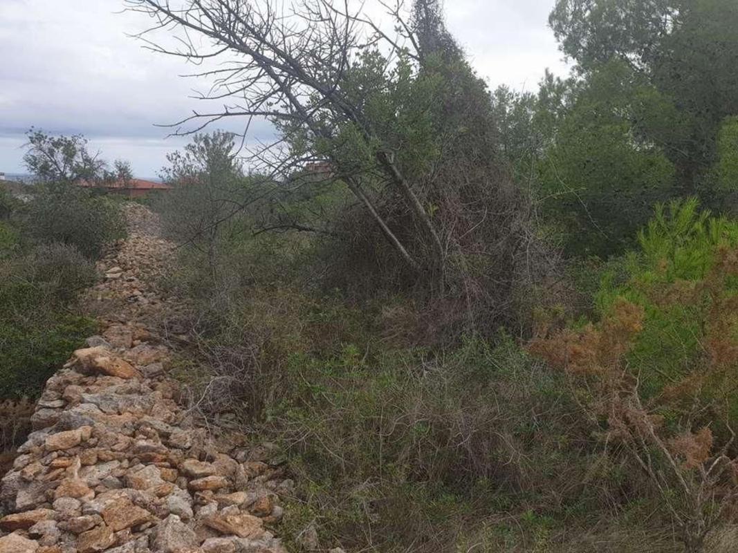 Land for sale in Altafulla, Tarragona photo 4