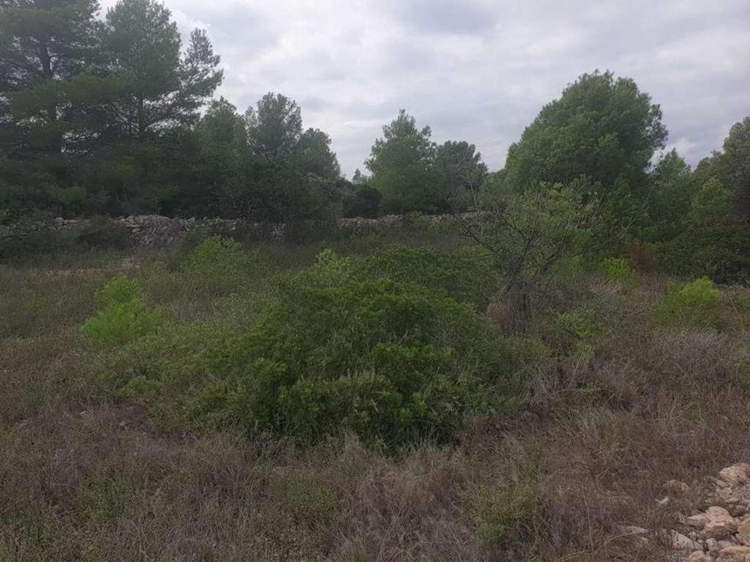 Land for sale in Altafulla, Tarragona photo 5