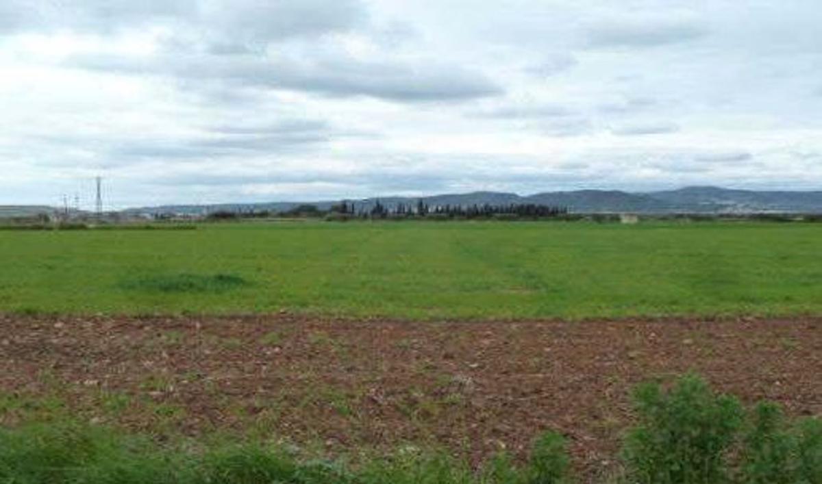 Działka na sprzedaż w Belvei, Tarragona photo 3