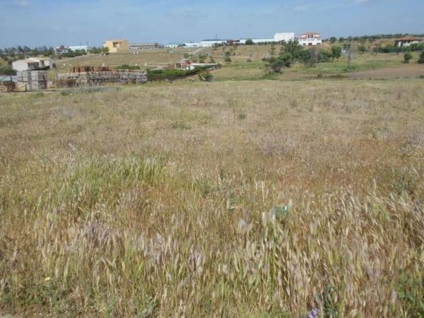 Terreno en Calle América, Navahermosa thumbnail 2