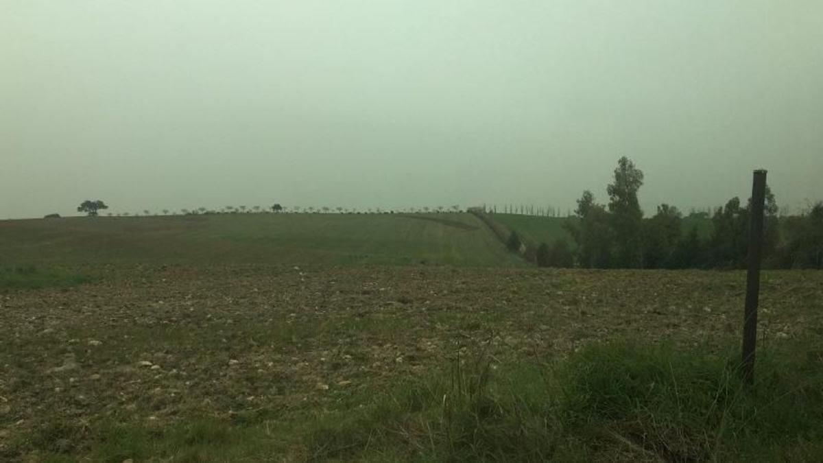 Участок земли на продажу в Касар-де-Эскалона, Эль, Толедо photo 1