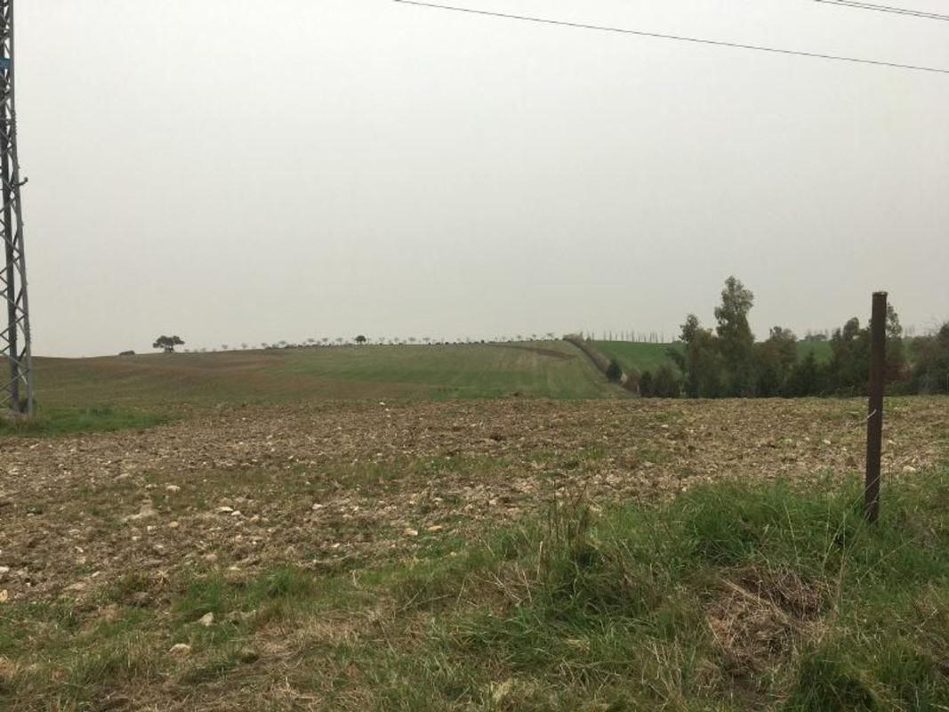 Участок земли на продажу в Касар-де-Эскалона, Эль, Толедо photo 2
