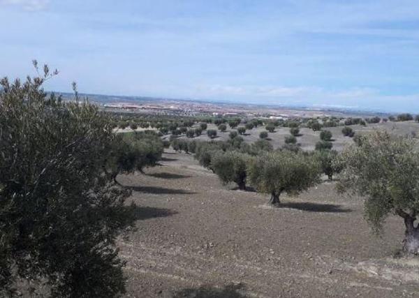 Terreno en Vía, 16, Alameda de la Sagra thumbnail 1