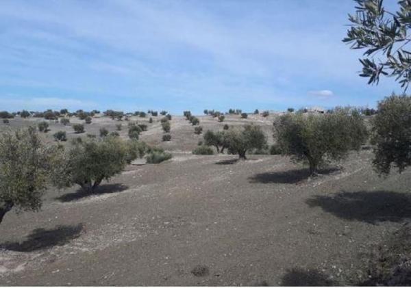 Terreno en Vía, 16, Alameda de la Sagra thumbnail 2