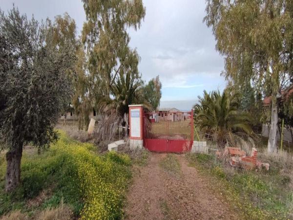 Terreno en Avenida Pablo Garnica, Alcaudete de la Jara photo 1