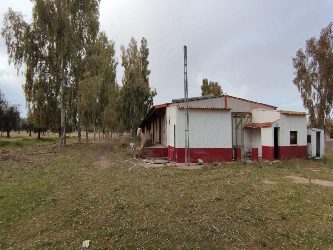 Terreno en venta en Alcaudete de la Jara, Toledo photo 2