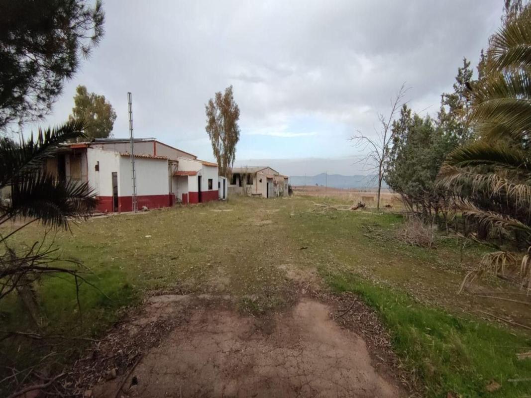 Terreno en venta en Alcaudete de la Jara, Toledo photo 5