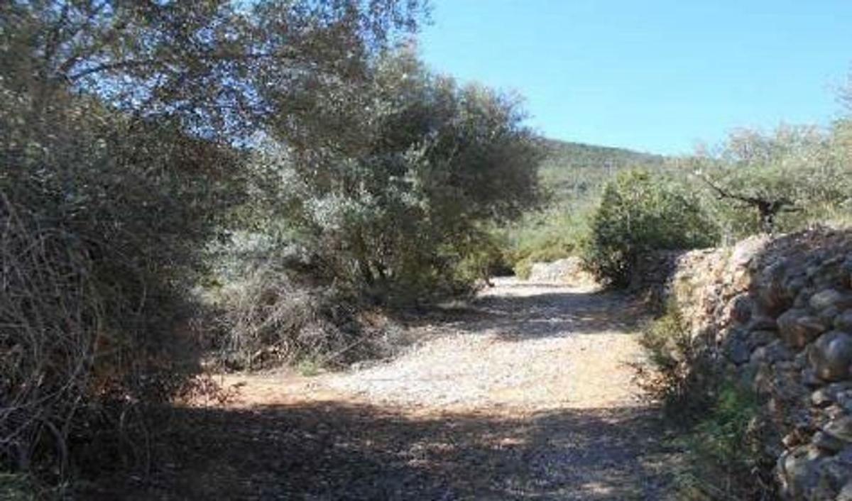 Propiedades en venta y alquiler en España photo 1