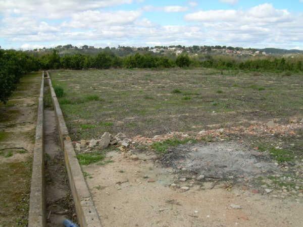 Terreno en Camino Barca, Villanueva de Castellon photo 4