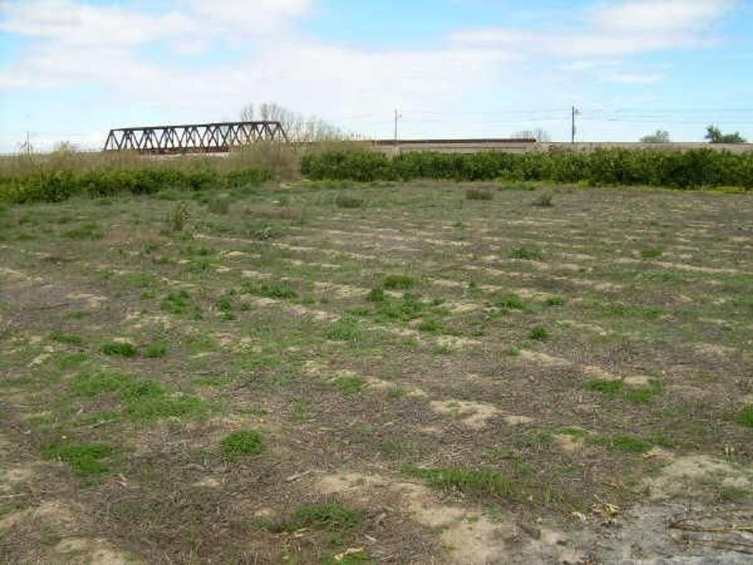 Land for sale in Villanueva de Castellón, Valencia photo 5