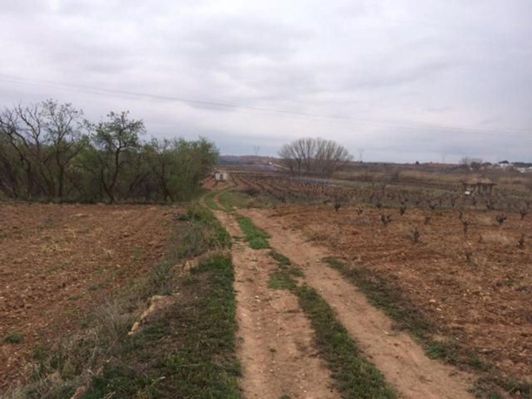 Land for sale in Requena, Valencia photo 4