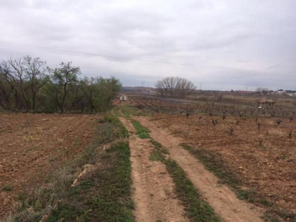 Terreno en Calle Flores, 59, Requena photo 4