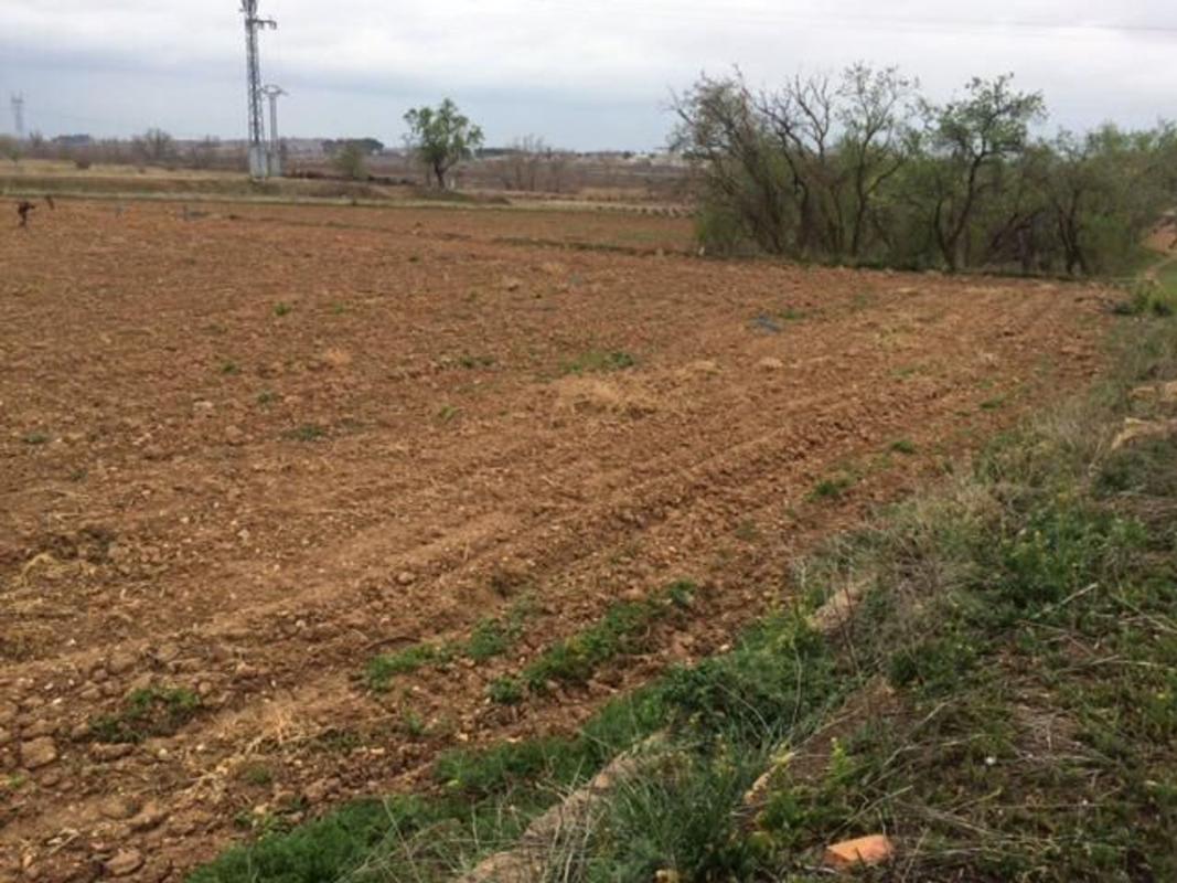 Land for sale in Requena, Valencia photo 5