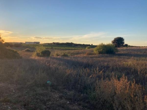 Terreno en Vía, Caudete de las Fuentes photo 1