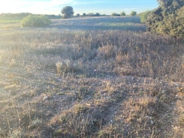 Terreno en Vía, Caudete de las Fuentes photo 4