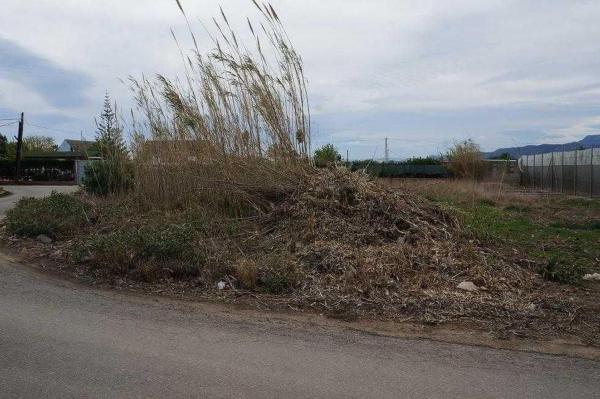 Terreno en Entrada de Catali, La Vega - Marenyet, Cullera photo 1