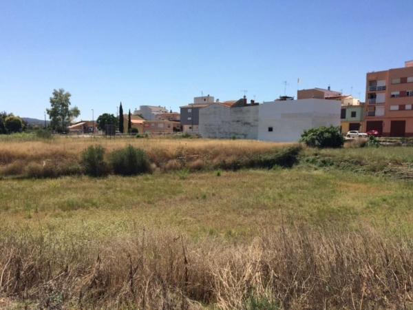 Terreno en Calle de la Bodega, 36, Montroy photo 4