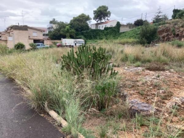 Terreno en Calle d'Alonso de Ojeda, 31, Alquerieta, Alzira photo 3